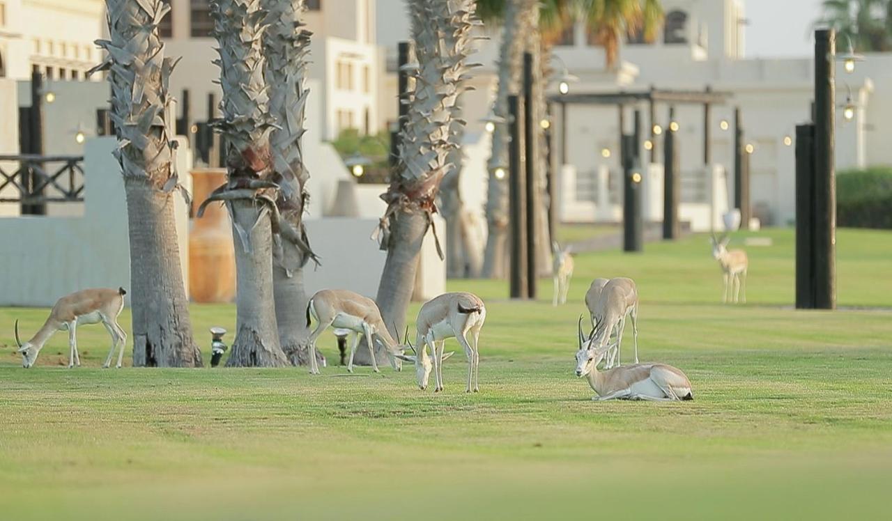 Al Maya Island & Villa *